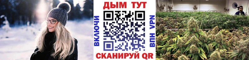 Купить закладки  Кызыл  Шишки марихуана гибрид 